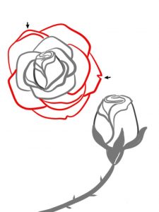 طراحی گل رز با مداد