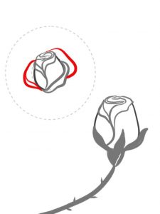 طراحی گل رز با مداد