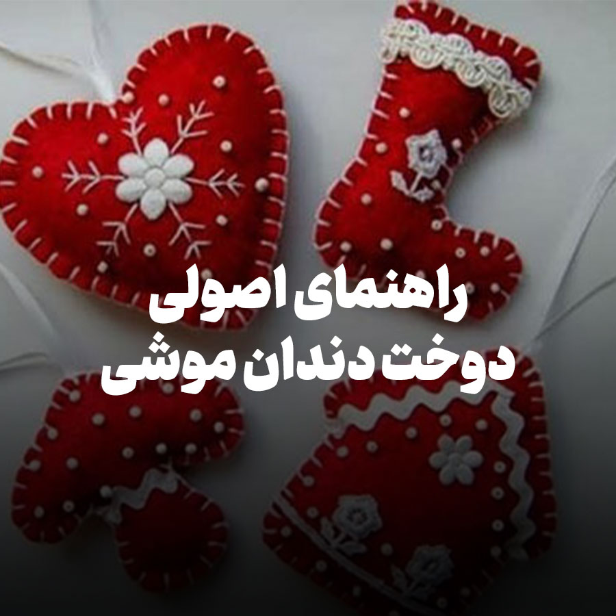 راهنمای جامع و اصولی دوخت دندان‌ موشی