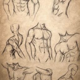 طراحی آناتومی