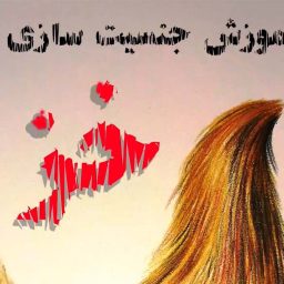 آموزش جنسیت سازی خز