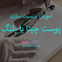 آموزش جنسیت سازی پوست چیتا یا پلنگ